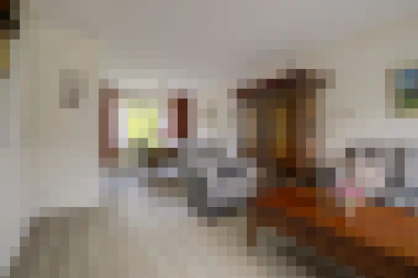 Cranendonckstraat 1 Hedel thumbnail 6