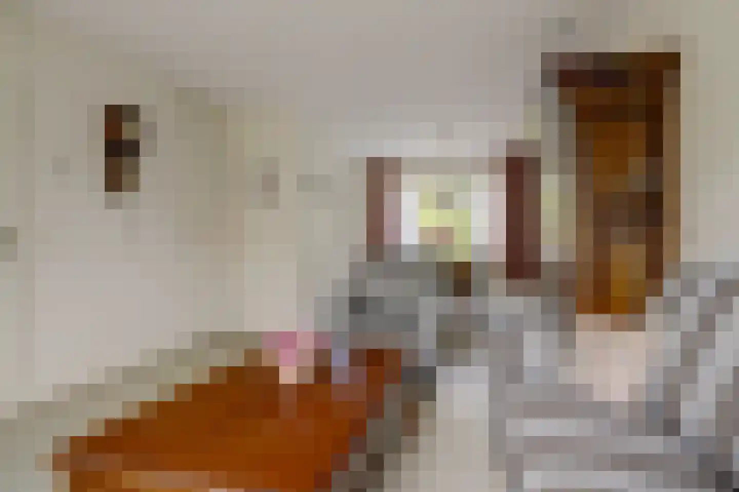 Cranendonckstraat 1 Hedel thumbnail 8