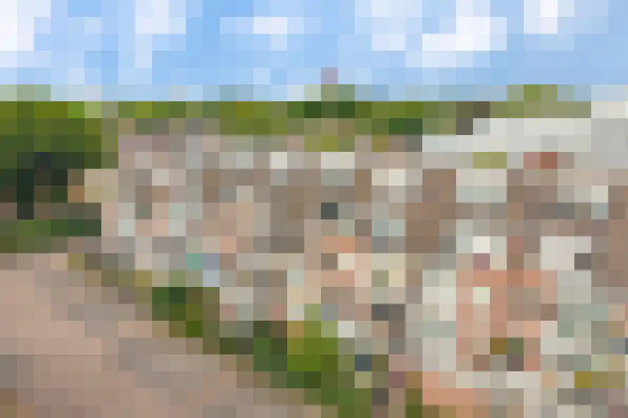 Craneveldstraat 157 Venlo thumbnail 28