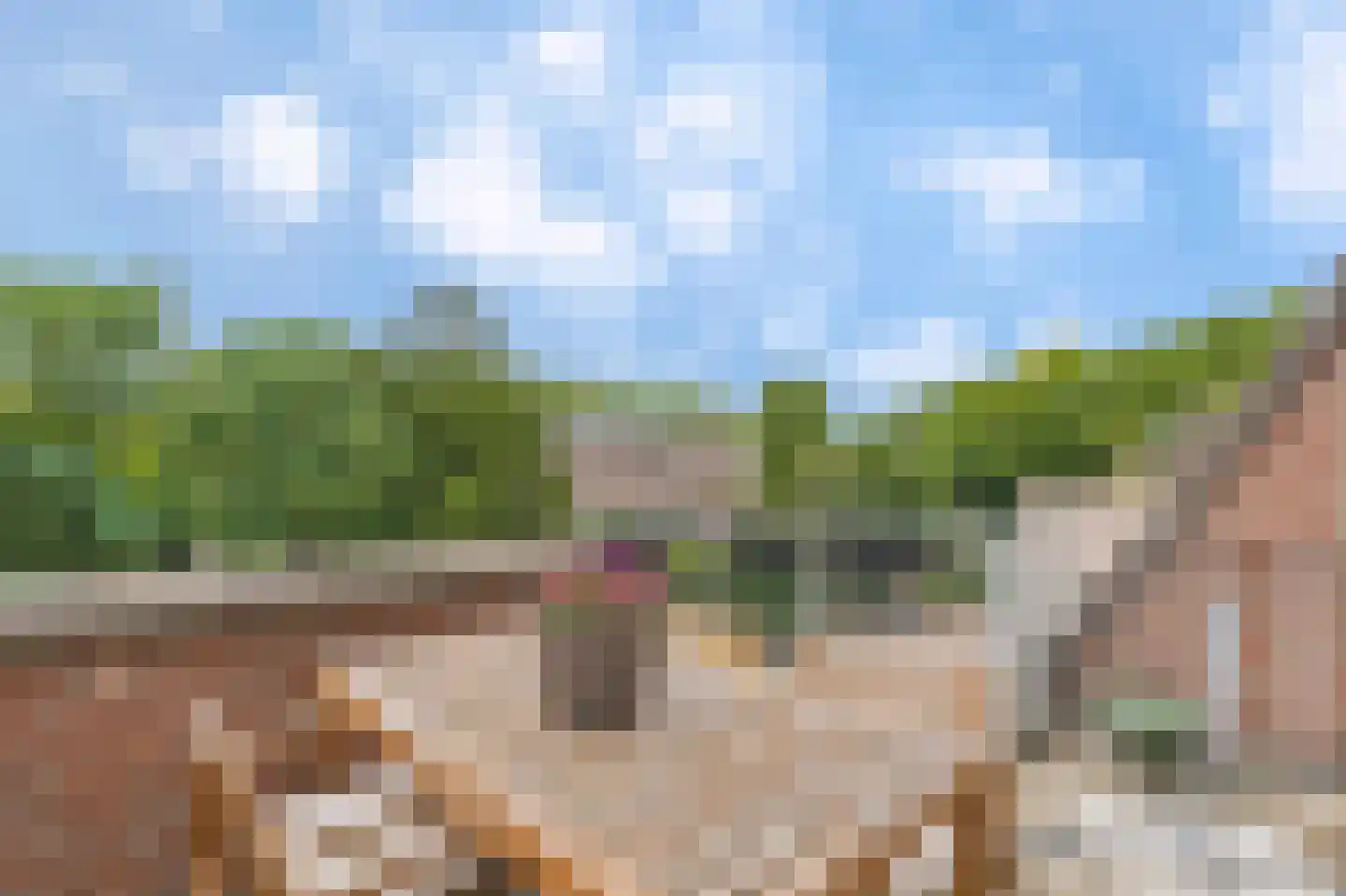 Craneveldstraat 157 Venlo thumbnail 4