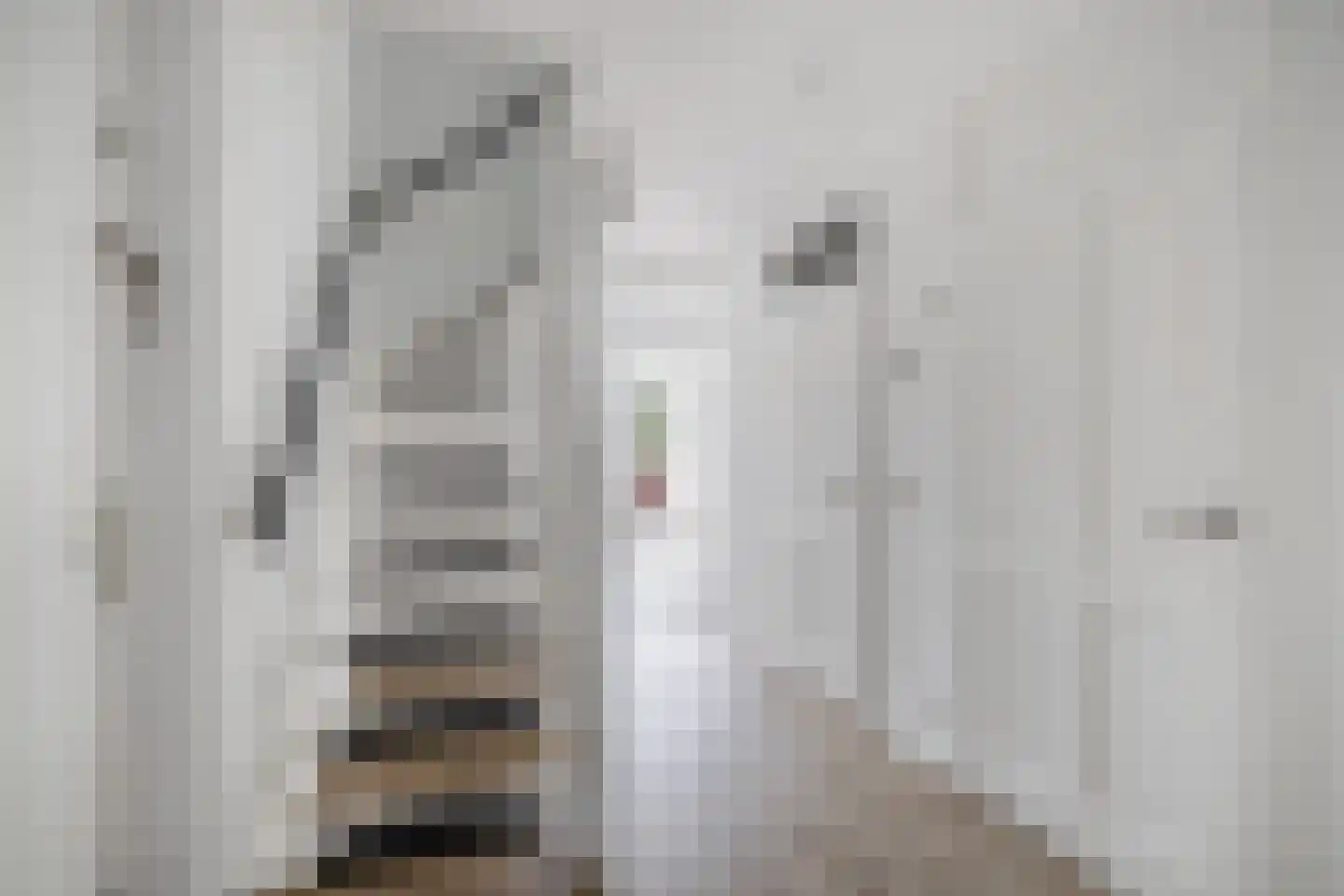 Craneveldstraat 183 Venlo thumbnail 5