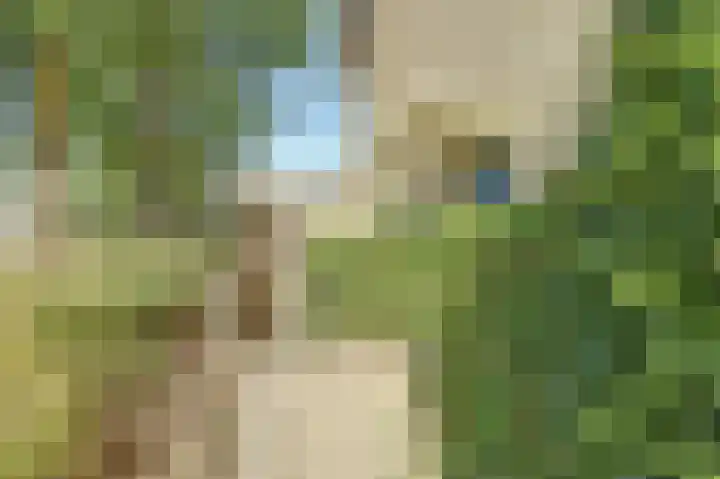 Craterlaan 16 Eindhoven thumbnail 4
