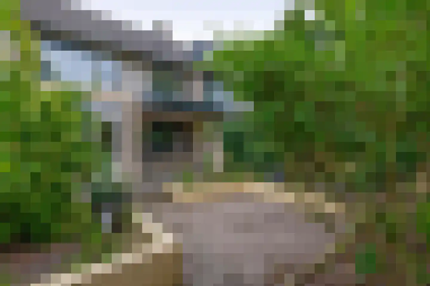 Craterlaan 8 Eindhoven thumbnail 11