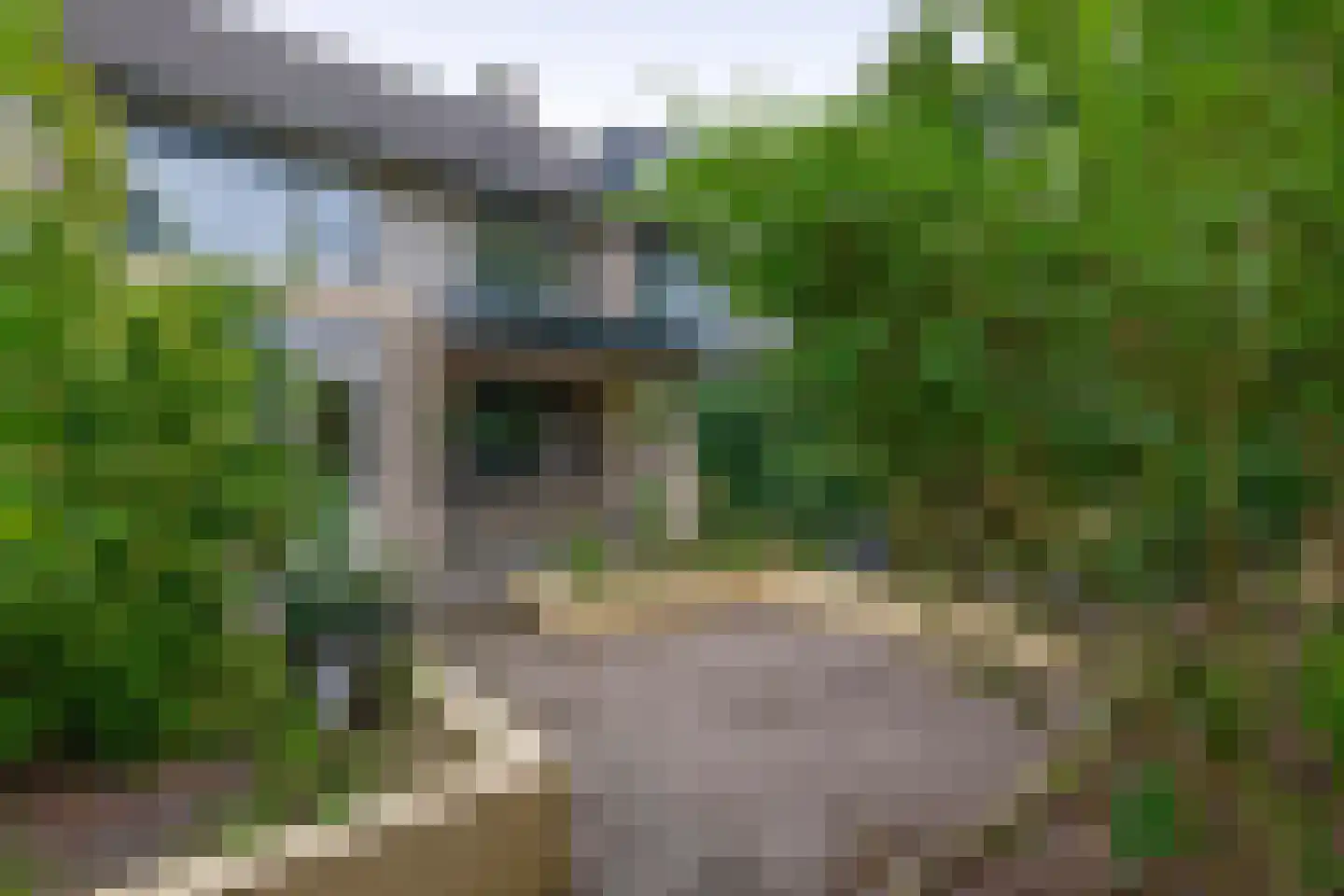 Craterlaan 8 Eindhoven thumbnail 11