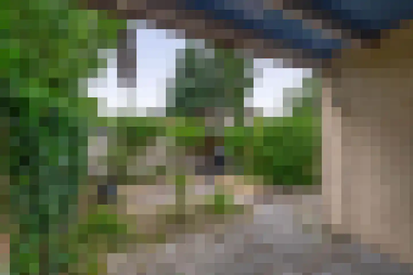 Craterlaan 8 Eindhoven thumbnail 47