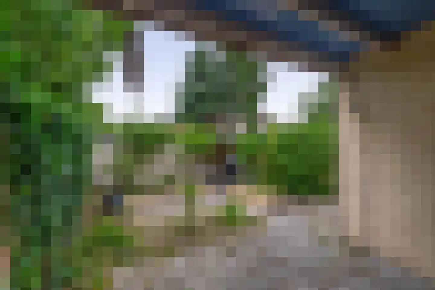 Craterlaan 8 Eindhoven thumbnail 47