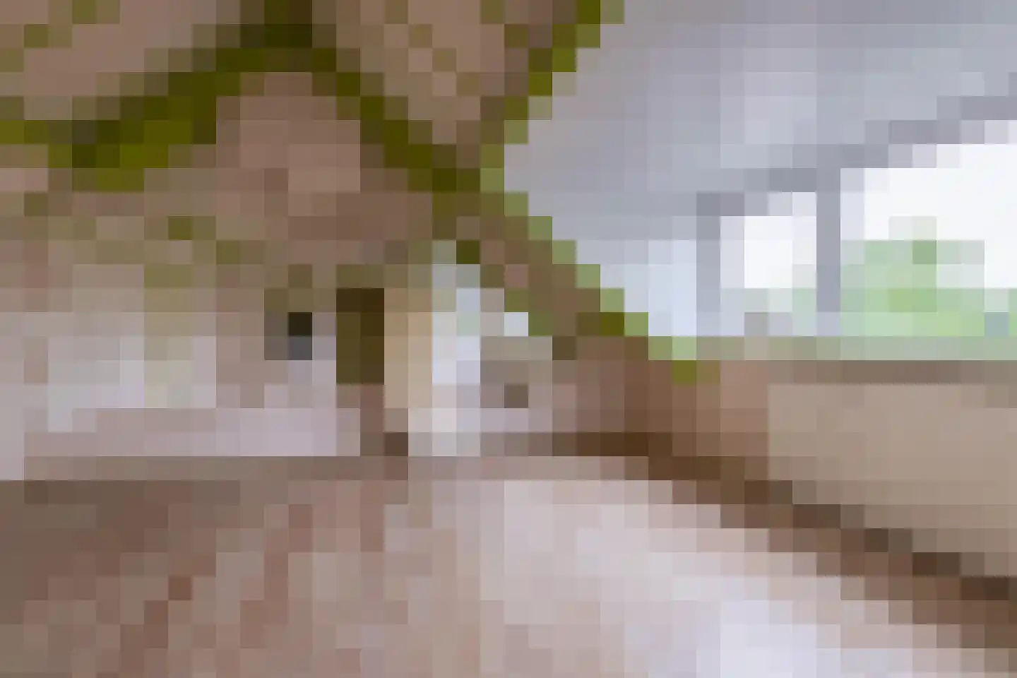 Craterlaan 8 Eindhoven thumbnail 9