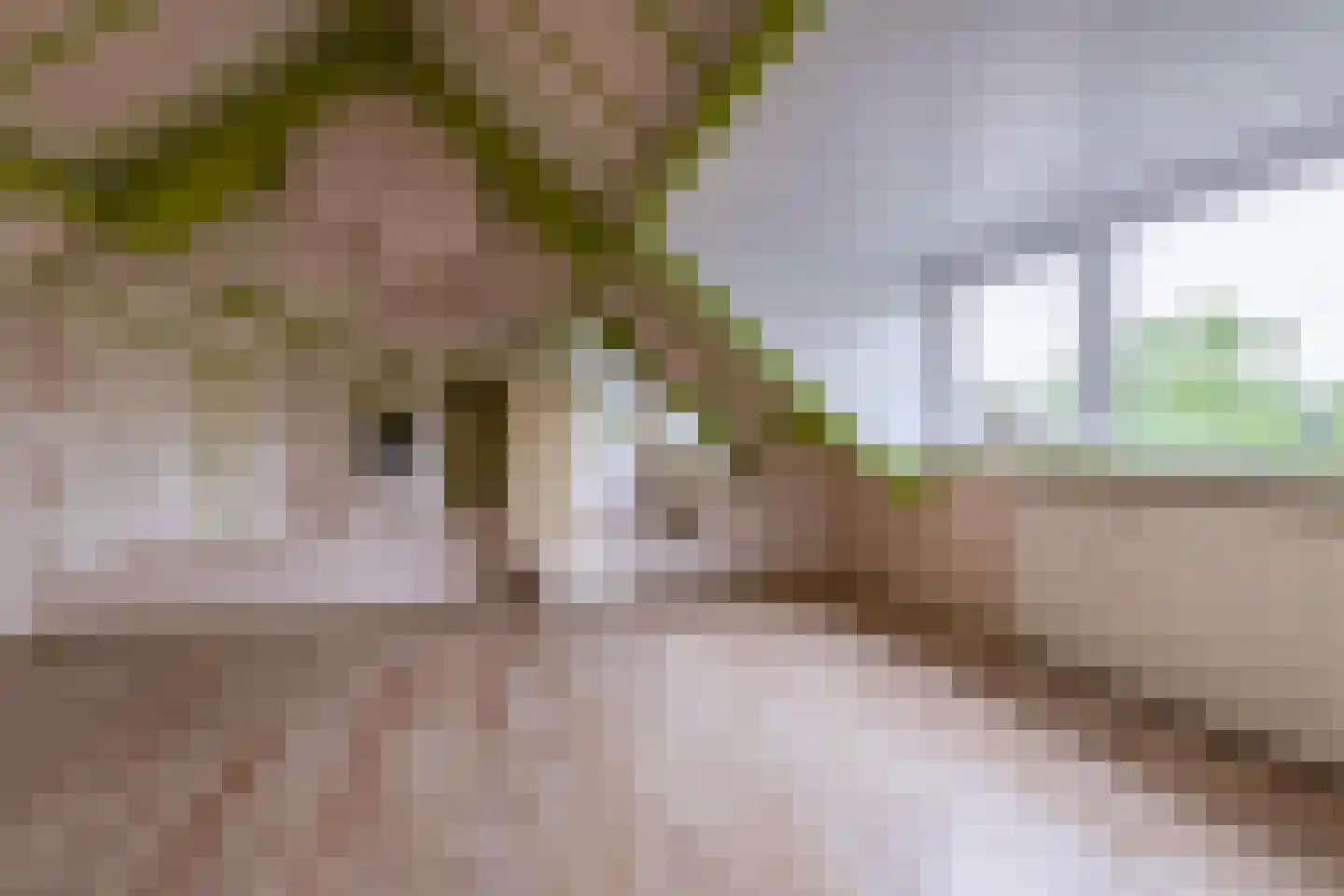 Craterlaan 8 Eindhoven thumbnail 9