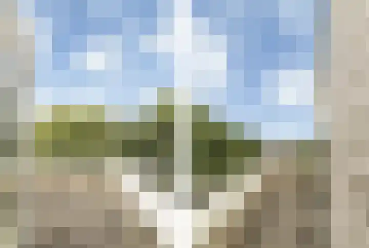Crayenesterlaan 134 C Haarlem thumbnail 34