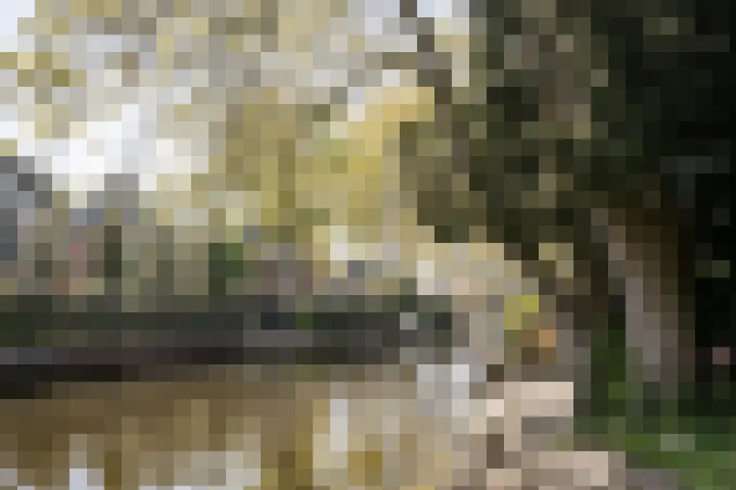 Crayenesterlaan 134 Haarlem thumbnail 42
