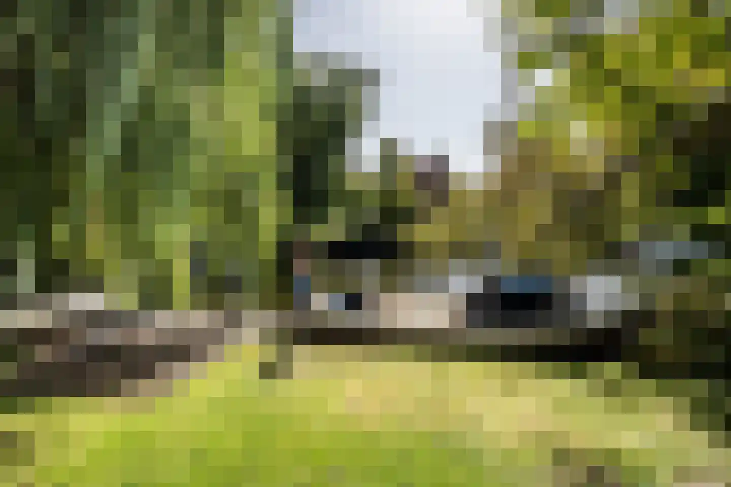 Crayenesterlaan 58 Haarlem thumbnail 11