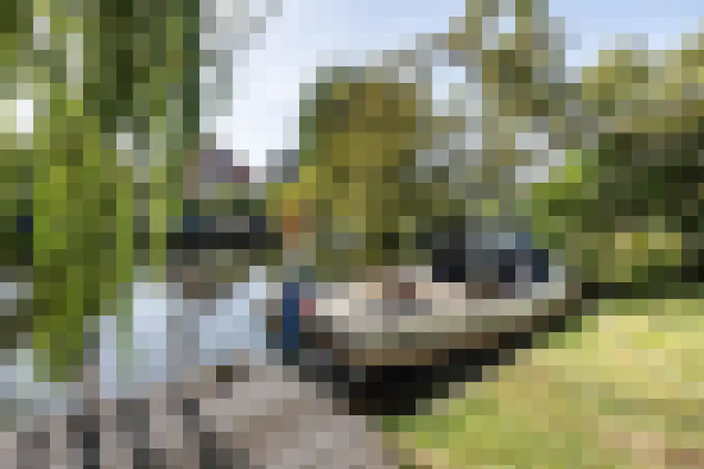 Crayenesterlaan 58 Haarlem thumbnail 12