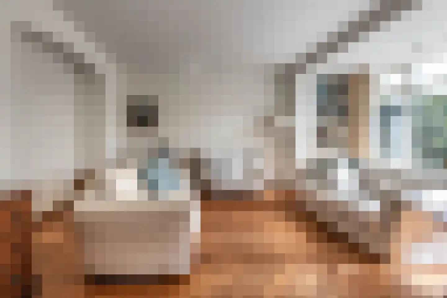 Crayenesterlaan 58 Haarlem thumbnail 22