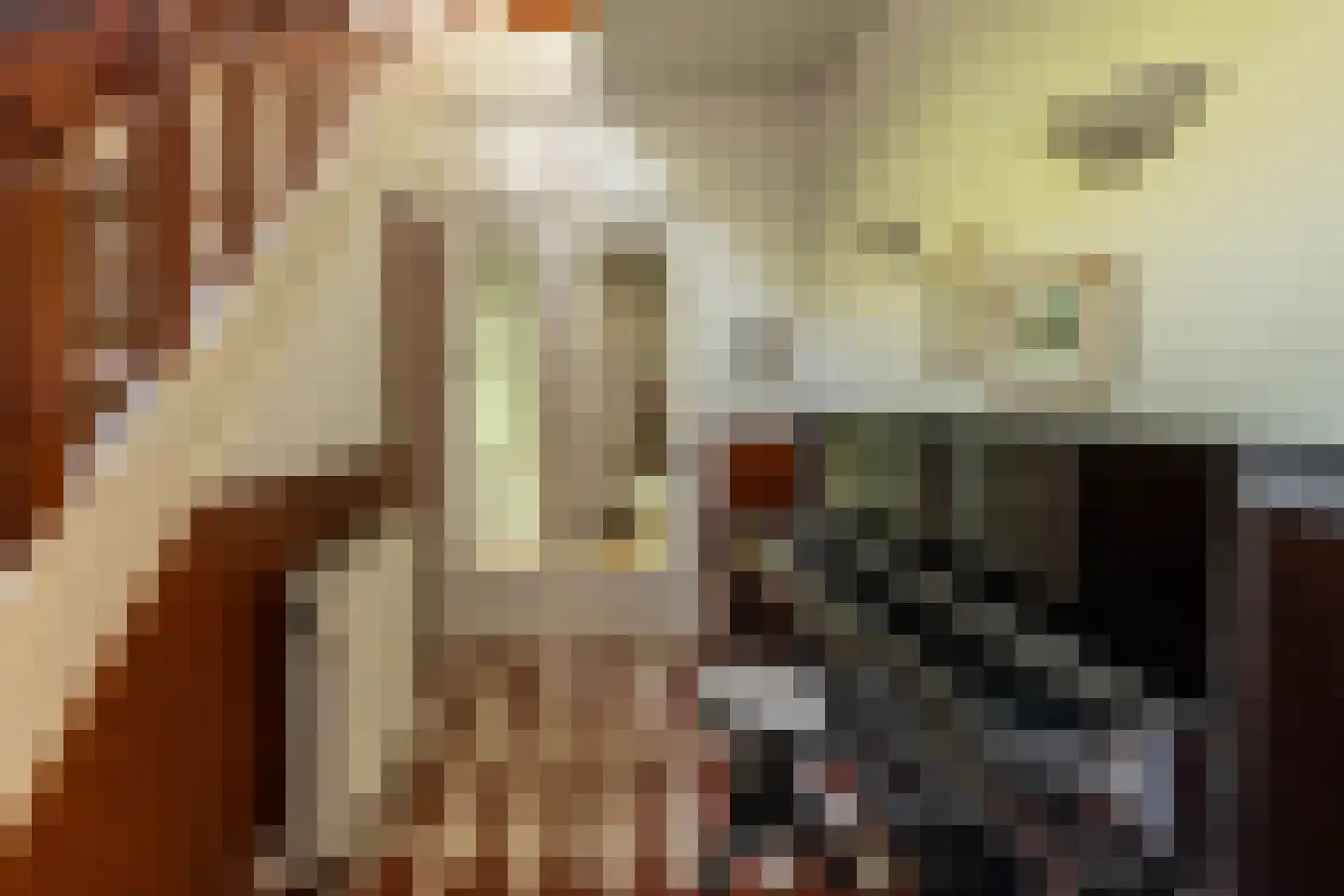 Crayenesterlaan 58 Haarlem thumbnail 32