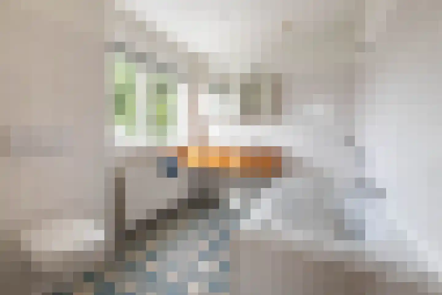 Crayenesterlaan 58 Haarlem thumbnail 38