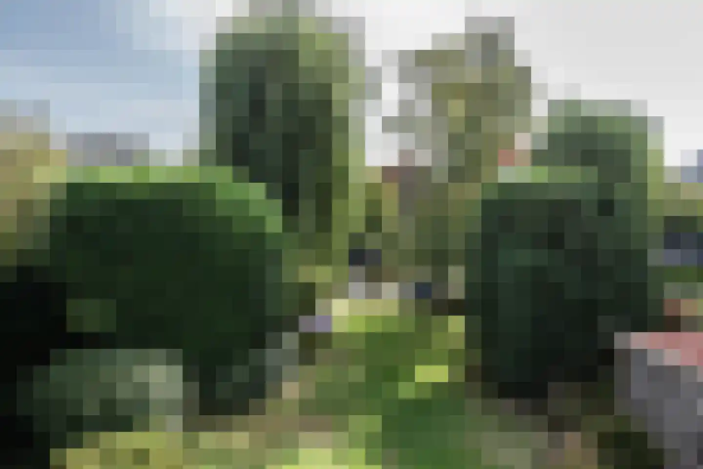 Crayenesterlaan 58 Haarlem thumbnail 45