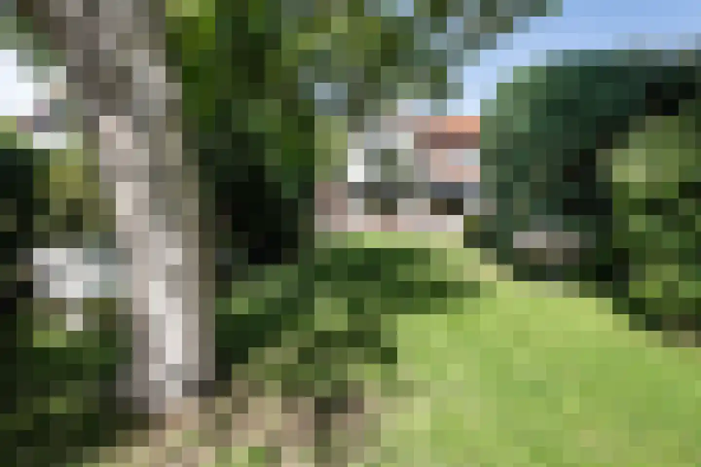 Crayenesterlaan 58 Haarlem thumbnail 5