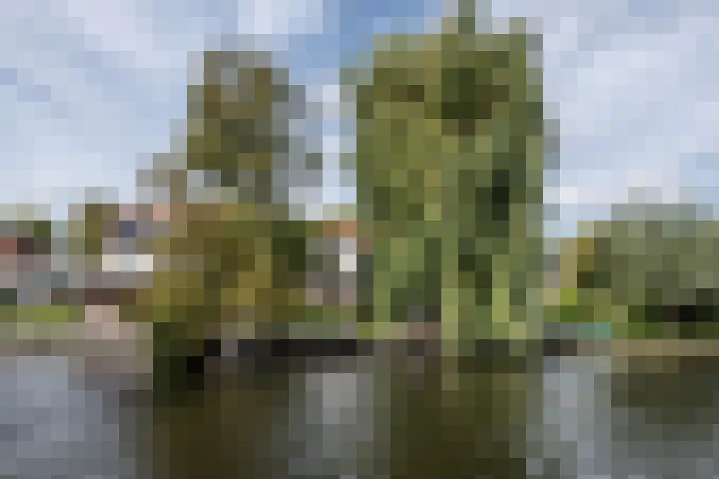 Crayenesterlaan 58 Haarlem thumbnail 51