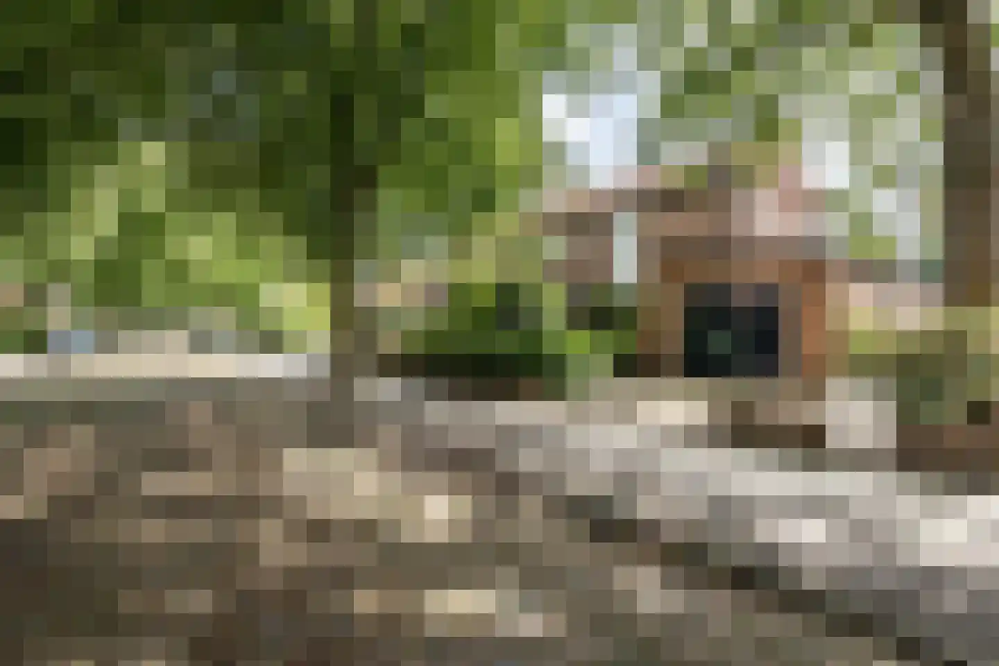 Crayenesterlaan 58 Haarlem thumbnail 55