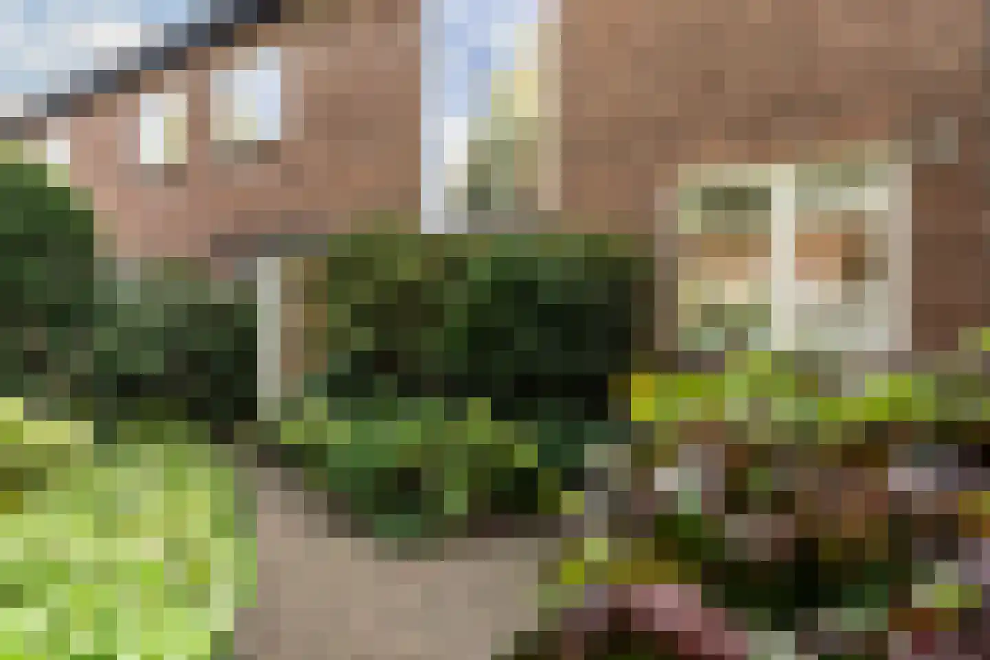 Crayenesterlaan 58 Haarlem thumbnail 6