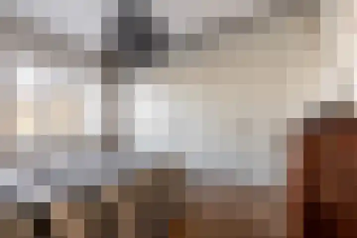 Crayenesterlaan 61 Haarlem thumbnail 24
