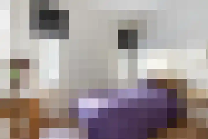 Crayenesterlaan 61 Haarlem thumbnail 31