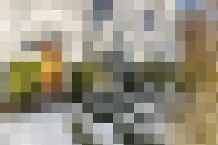 Crayenesterlaan 61 Haarlem thumbnail 7
