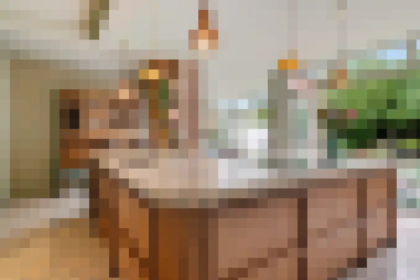 Crayenesterlaan 65 Haarlem thumbnail 14