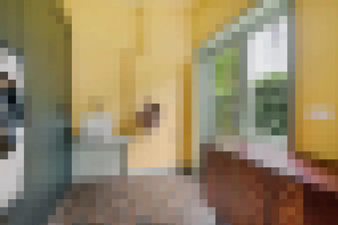 Crayenesterlaan 65 Haarlem thumbnail 24