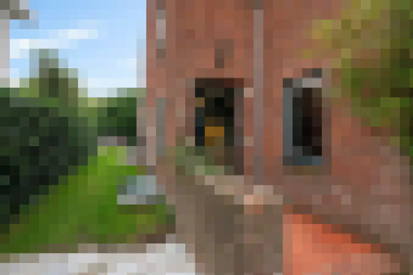Crayenesterlaan 65 Haarlem thumbnail 25