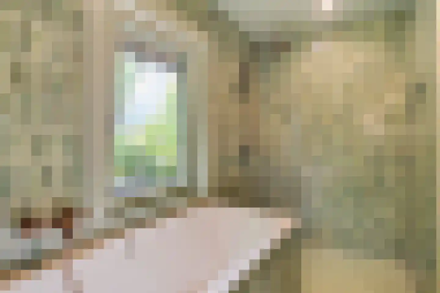 Crayenesterlaan 65 Haarlem thumbnail 37
