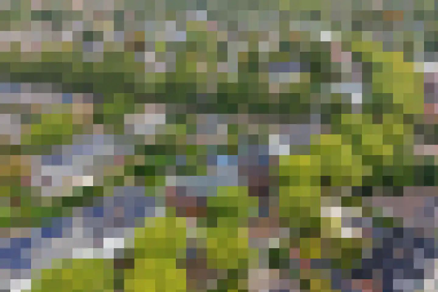 Crayenesterlaan 65 Haarlem thumbnail 57