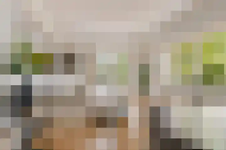 Crayenesterlaan 73 Haarlem thumbnail 10