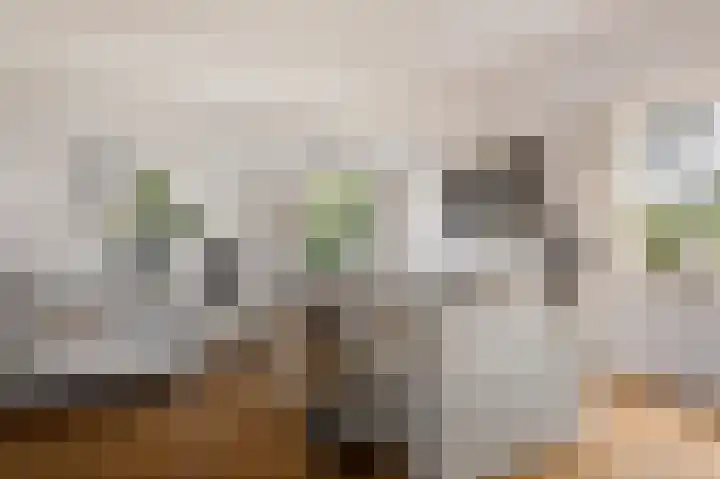 Crayenesterlaan 73 Haarlem thumbnail 11