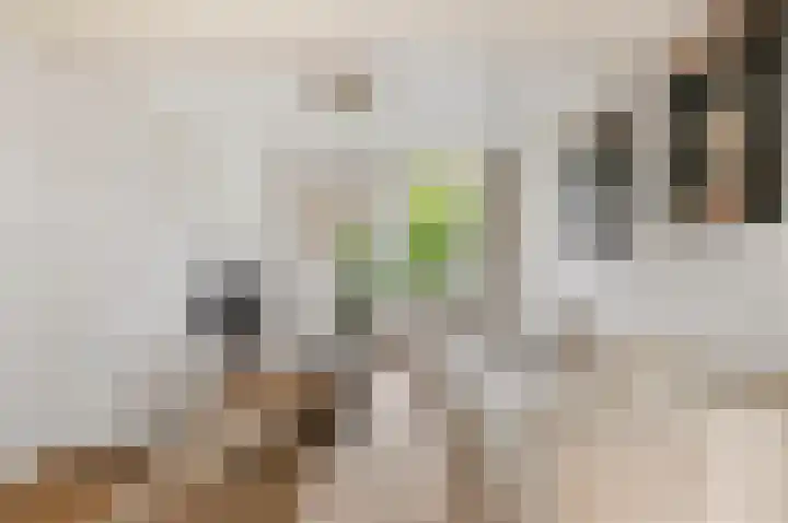 Crayenesterlaan 73 Haarlem thumbnail 12