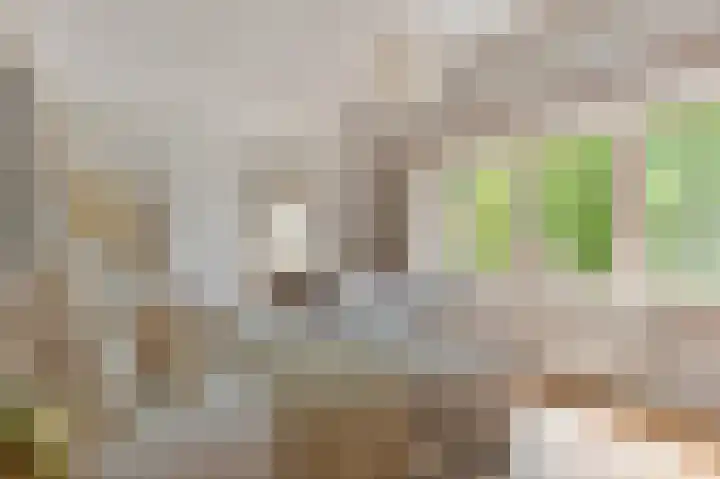 Crayenesterlaan 73 Haarlem thumbnail 23