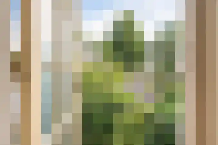 Crayenesterlaan 73 Haarlem thumbnail 29