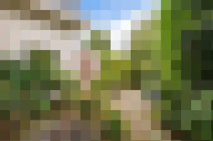Crayenesterlaan 73 Haarlem thumbnail 37