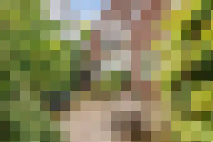 Crayenesterlaan 73 Haarlem thumbnail 38