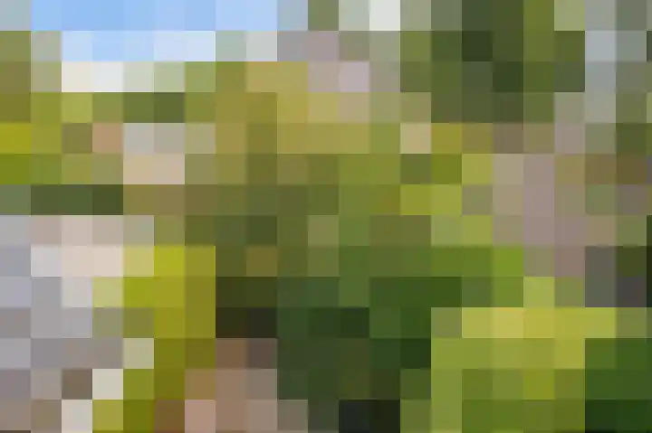 Crayenesterlaan 73 Haarlem thumbnail 39