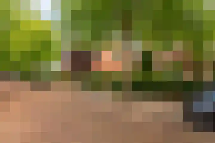 Crayenesterlaan 73 Haarlem thumbnail 41