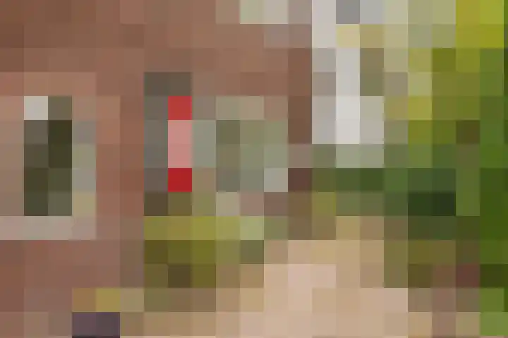 Crayenesterlaan 73 Haarlem thumbnail 6