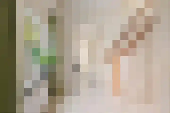 Crayenesterlaan 73 Haarlem thumbnail 9