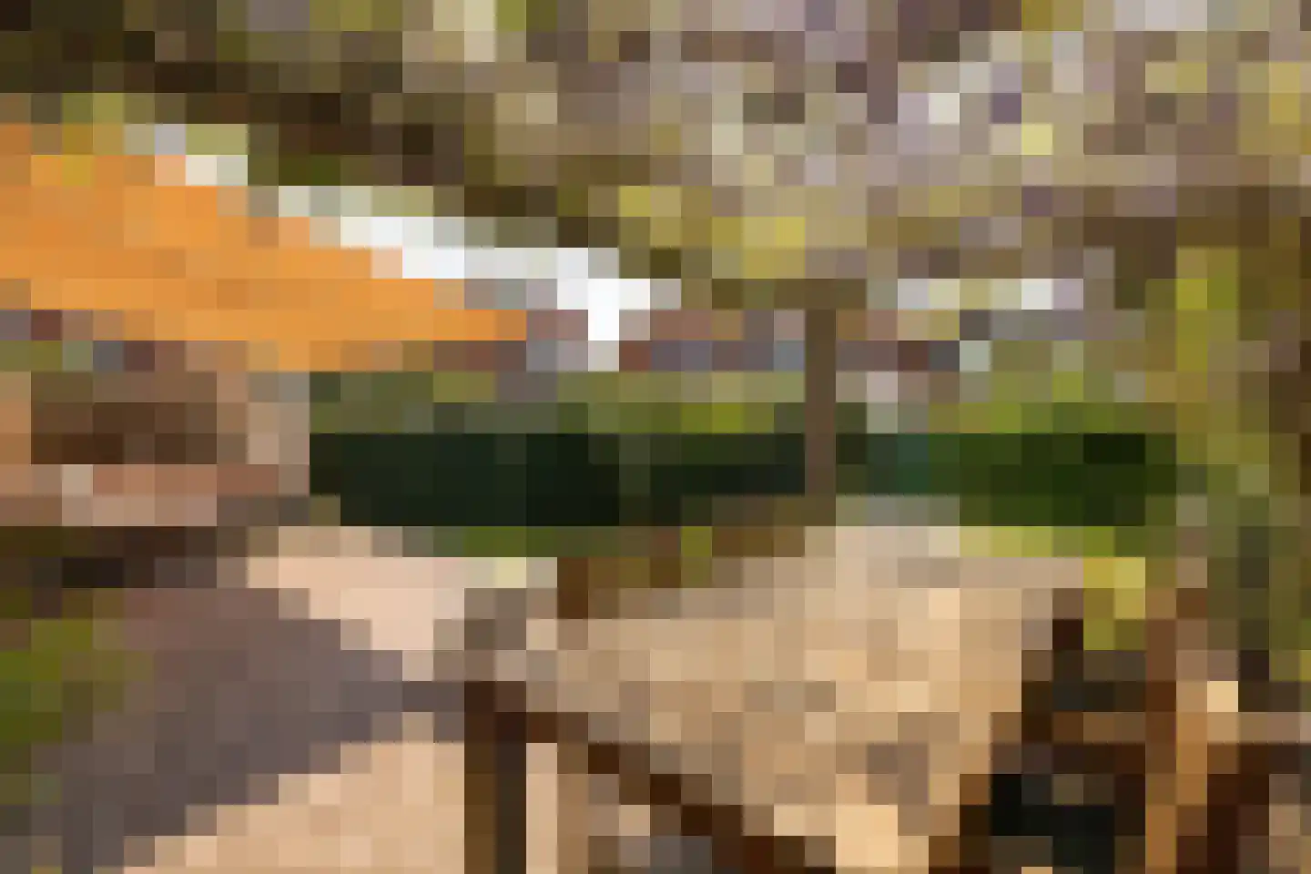 Crayenestersingel 9 Heemstede thumbnail 32