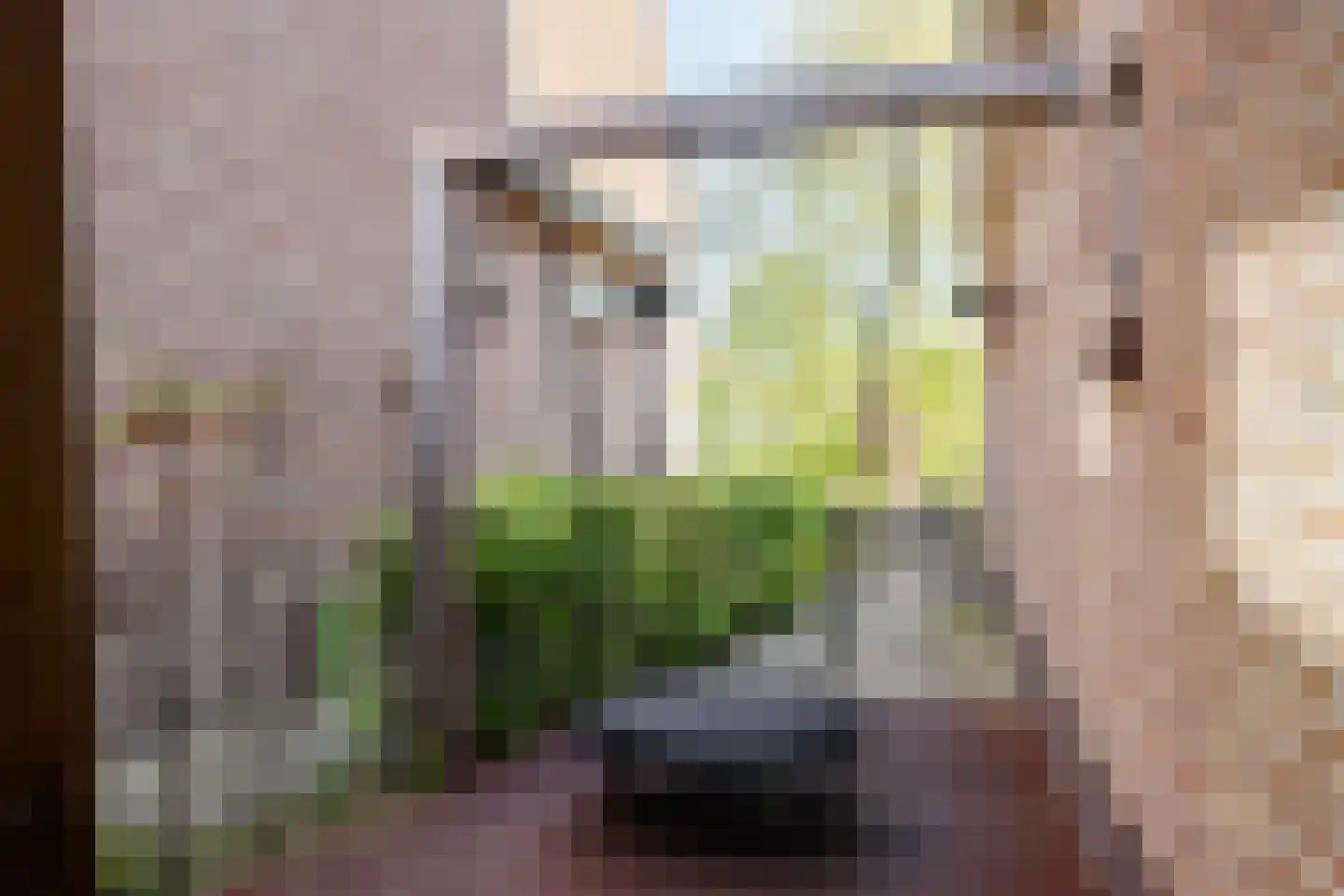 Crayenestersingel 9 Heemstede thumbnail 39