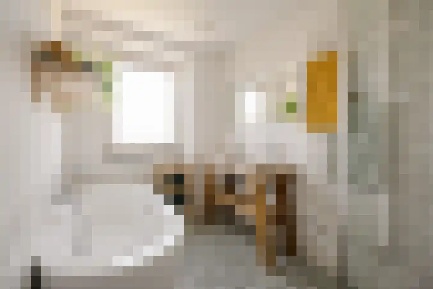 Crayenestersingel 9 Heemstede thumbnail 50