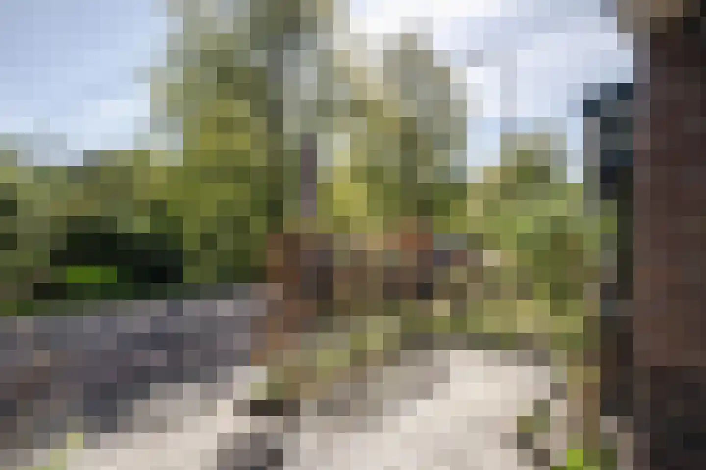 Crayenestersingel 9 Heemstede thumbnail 6