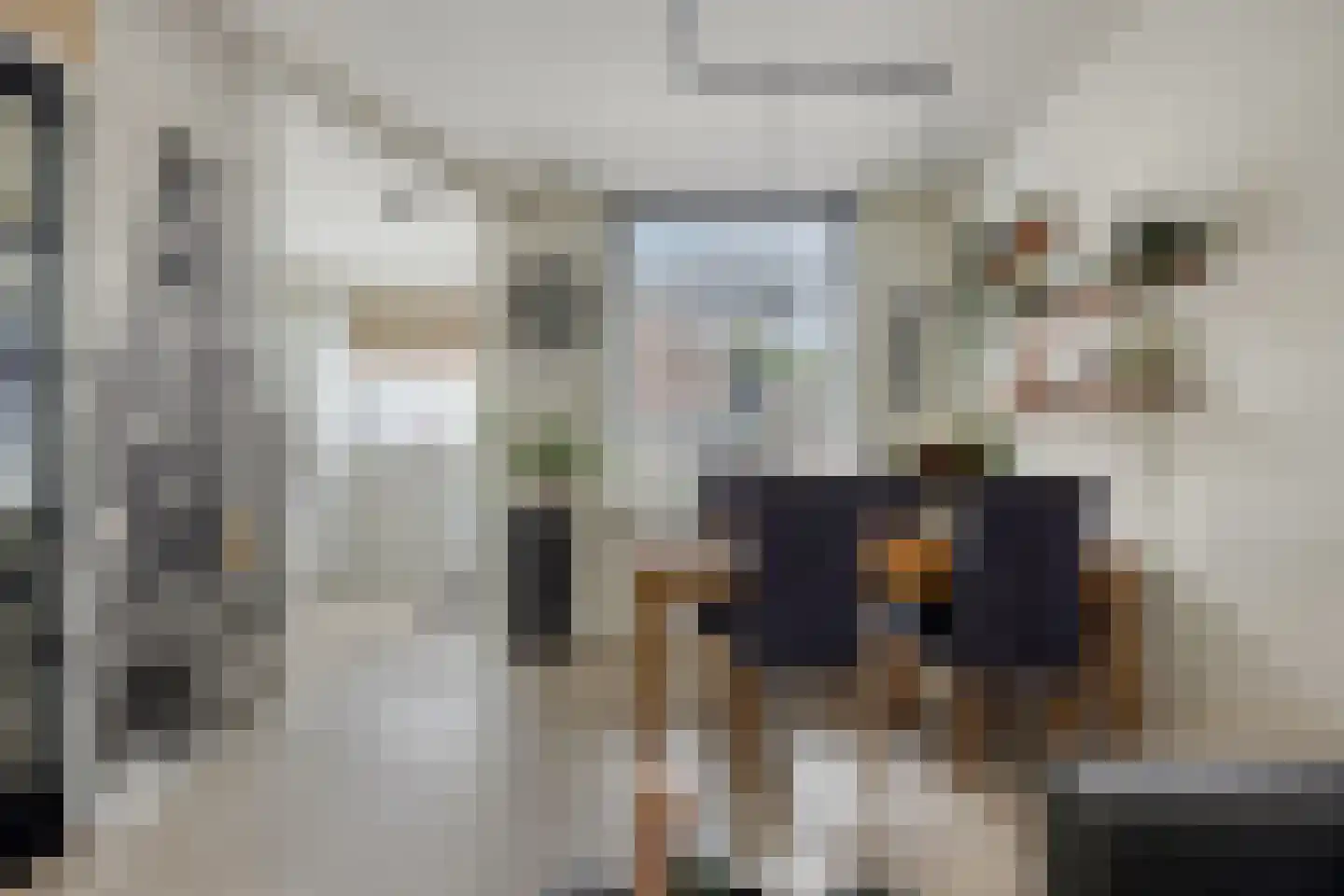 Crayensteynstraat 23 Dordrecht thumbnail 9