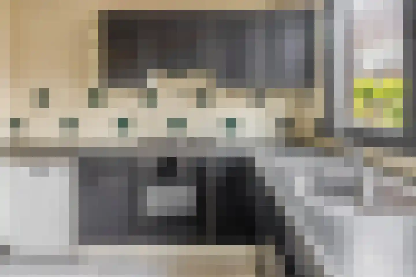 Crayensteynstraat 57 Dordrecht thumbnail 11