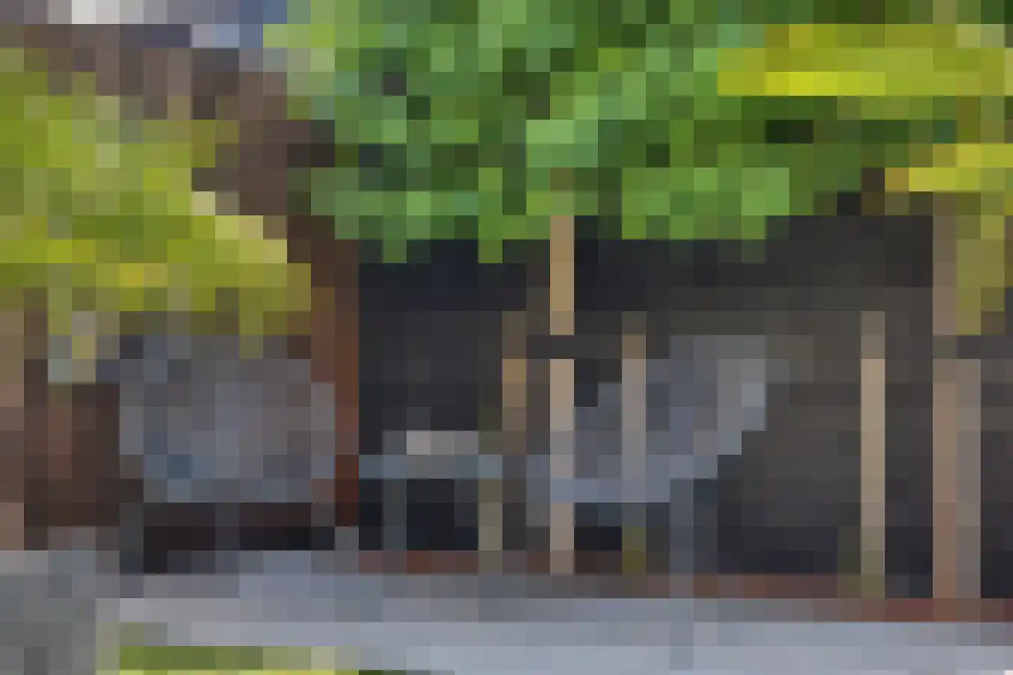 Creekpad 23 Vierpolders thumbnail 32